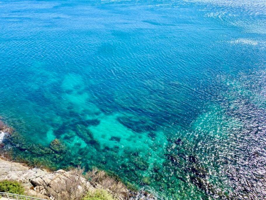 Appartement Les Pieds Dans L'Eau, La Tete Dans Les Nuages, Roses Extérieur photo